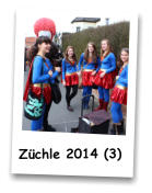 Zchle 2014 (3)